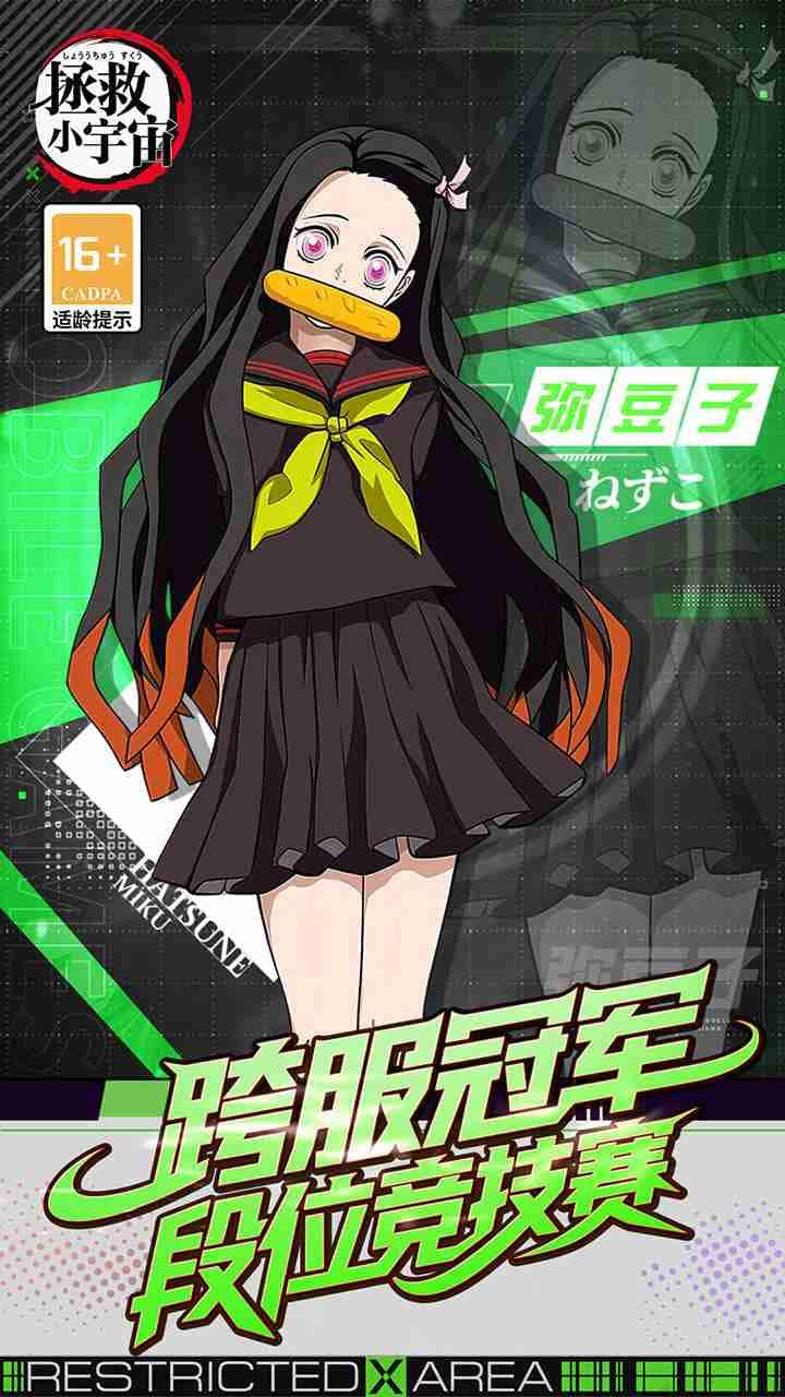 视觉数据5